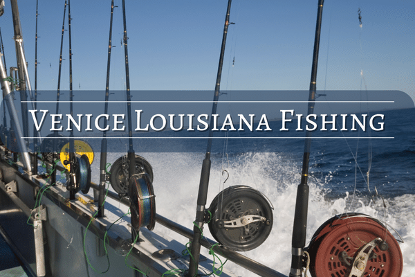 Venice Louisiana Fishing