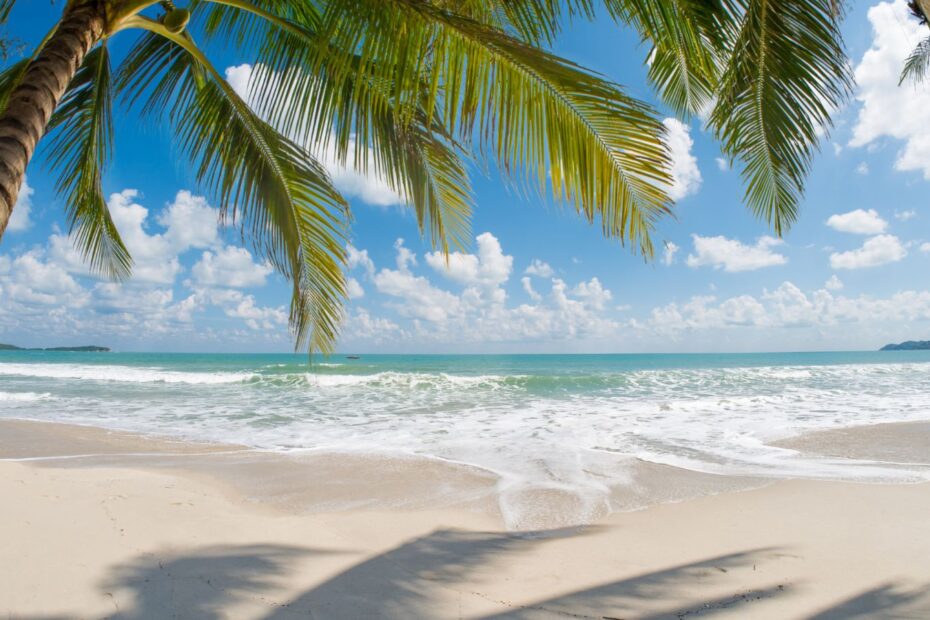 Cities With Amazing Beaches Nearby
