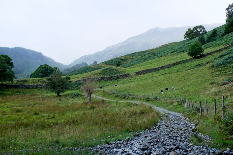 A beautiful but less-obvious stone footpath winds through the fells, leading to a secluded lake, representing the path to finding authentic local businesses.